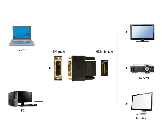 HDMI F naar DVI M  adapter - A hdmi dvi 2 web site image f9f79592 002a 4645 996b 03311acb56b8 - A-HDMI-DVI-2